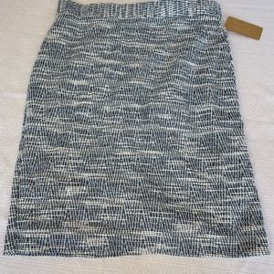 NWT Banana Republic Women's Size 12 Blue & White Poly Shorts #0291